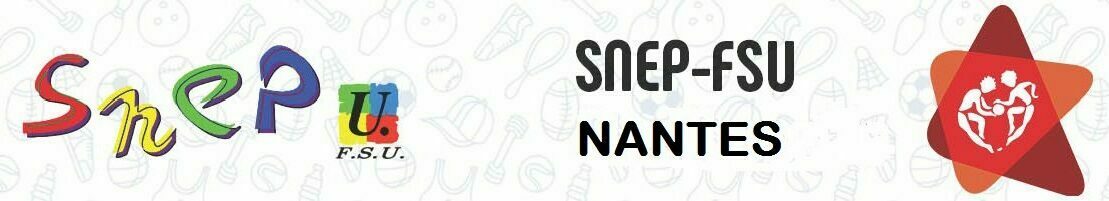 SNEP ACADEMIE DE NANTES