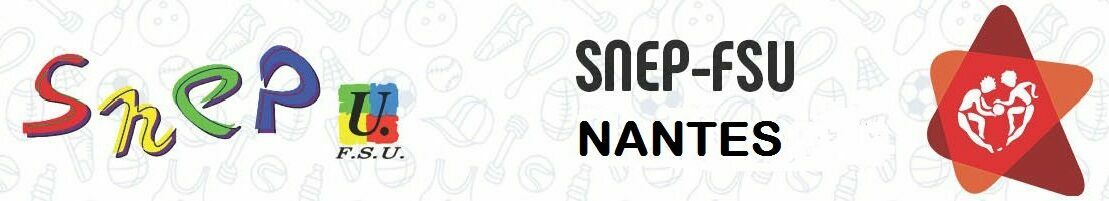 SNEP ACADEMIE DE NANTES